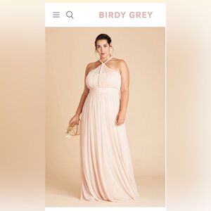 Birdy Grey KIKO DRESS MESH PALE BLUSH